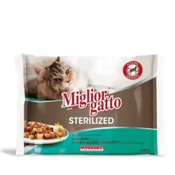 Miglior gatto