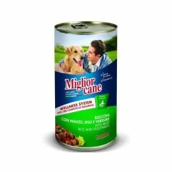 MIGLIOR CANE