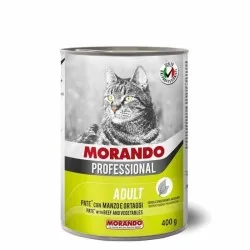 Miglior gatto