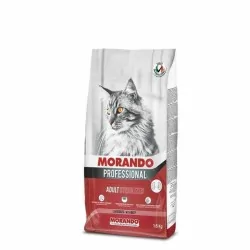Miglior gatto