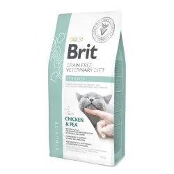 Brit