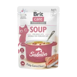 Brit
