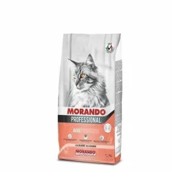 Miglior gatto