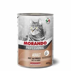 Miglior gatto