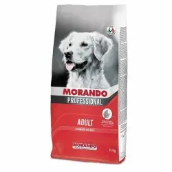 MIGLIOR CANE