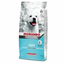 MIGLIOR CANE