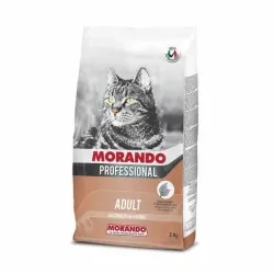 Miglior gatto