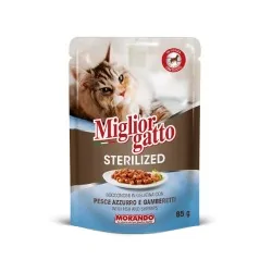 Miglior gatto