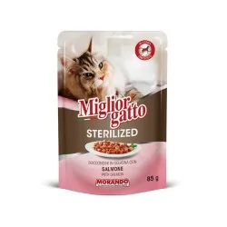 Miglior gatto