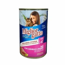 Miglior gatto