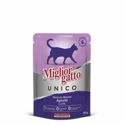 Miglior gatto