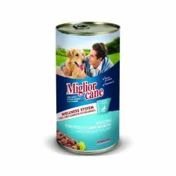 MIGLIOR CANE