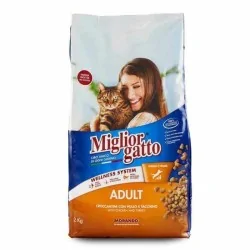 Miglior gatto