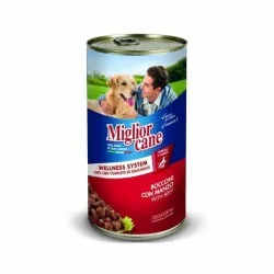 MIGLIOR CANE