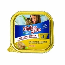 Miglior gatto