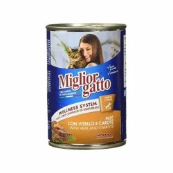 Miglior gatto