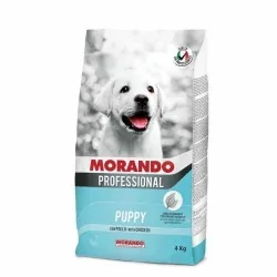 MIGLIOR CANE