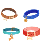 Collier Chien
