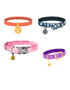 Collier Chat