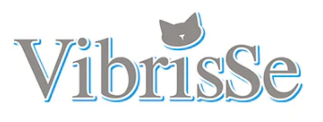 VIBRISSE