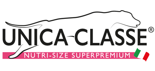 Unica Classe