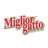 Miglior gatto