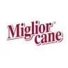 MIGLIOR CANE
