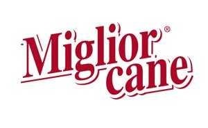 MIGLIOR CANE